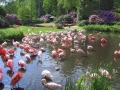 Bild Weltvogelpark Walsrode