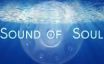 Logo HandPan Sound of Soul