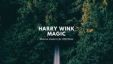 Logo Harry Wink Magic