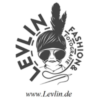 Logo Levlin