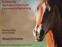 Logo Pferdetrainer Jennifer Bolle