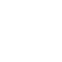 Logo Aulaeum Teppichstudio