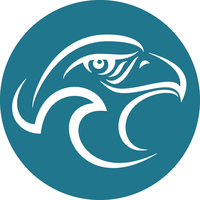 Logo Eagle Kite