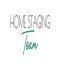 Logo Home Staging Team