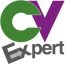 Logo CV Expert Bewerbungsagentur