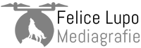 Logo Felice Lupo Mediagrafie