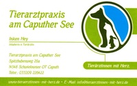 Logo Tierarztpraxis am Caputher See, Inken Hey