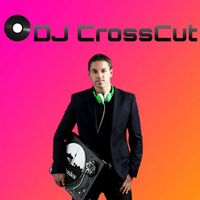 Logo DJ CrossCut - Hochzeits DJ Berlin