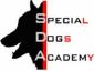 Logo Special Dogs Academy