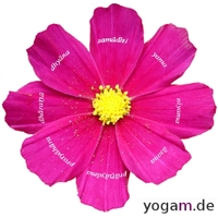 Logo Astanga-Yoga München