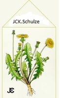 Logo JCK.Schulze