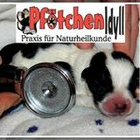 Logo Tierbetreuung &Tierheilpraxis Pfötchen Idyll