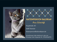 Logo Katzenpension Baldrian