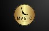 Logo Magic Reinigung