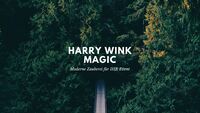 Logo Harry Wink Magic
