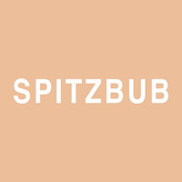 Logo SPITZBUB | Medien & Webdesign