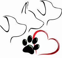 Logo Hundetraining & Dogwalken in der Dübener Heide