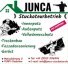 Logo Junca Stuckateur