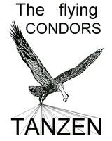 Logo The flying Condors GbR