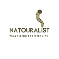 Logo Natouralist