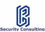 Logo BFL Security Consulting