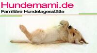 Logo Hundepension & Hundetagesstätte Ludwig