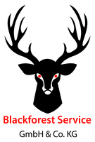 Logo BS Blackforest Service GmbH & Co. KG