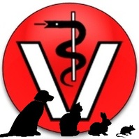 Logo Tierarztpraxis vier Pfoten